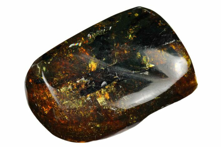 Polished Chiapas Amber ( g) - Mexico #180420